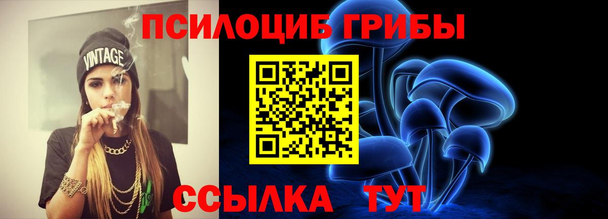 наркотики  Галлюциногенные грибы MAGIC MUSHROOMS  Вход с VPN  Протвино 